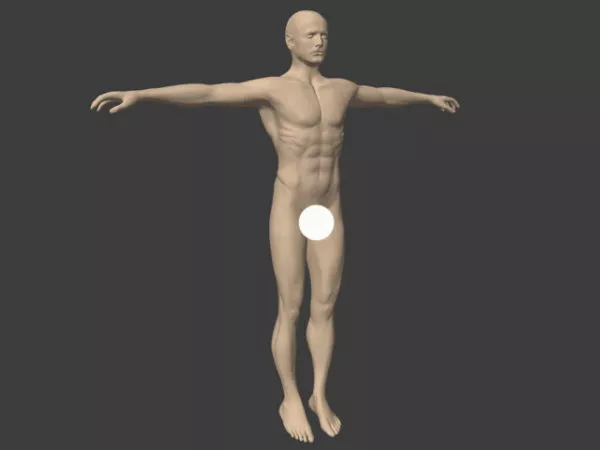 Male Base Mesh Character 3d model Male Base Mesh Character 3d model