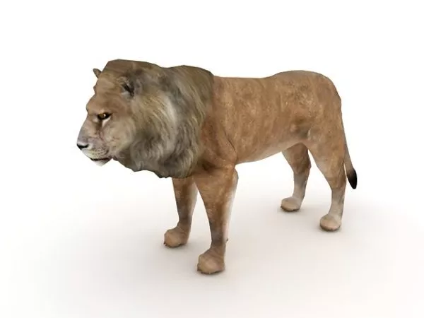 Simba Lion Cartoon Character 3d model