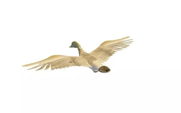 Rubber Little Duck Toy 3d model