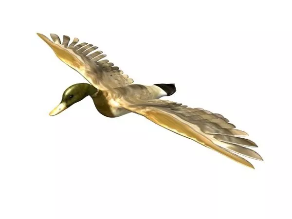 Rubber Little Duck Toy 3d model