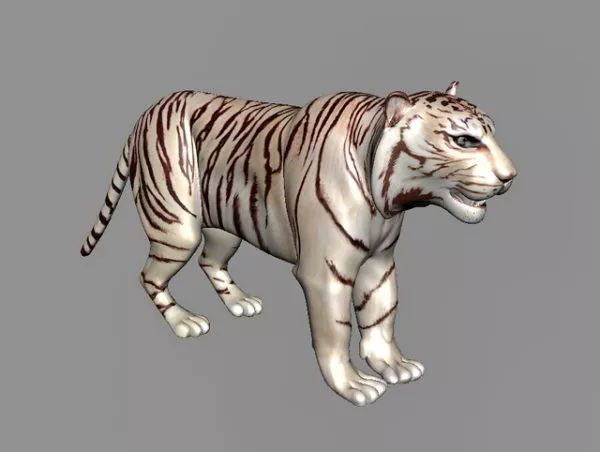 Maltese Tiger 3d model Maltese Tiger 3d model
