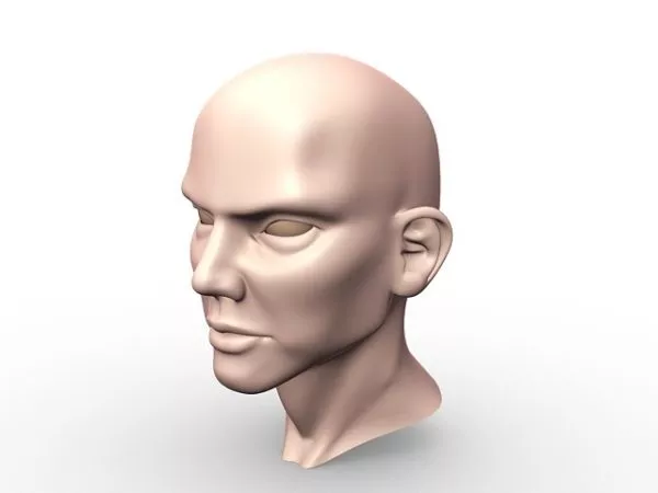 Man Bald Head 3d model Man Bald Head 3d model