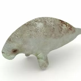 Wild Manatee Animal 3d model