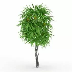 Mango Tree 3d model