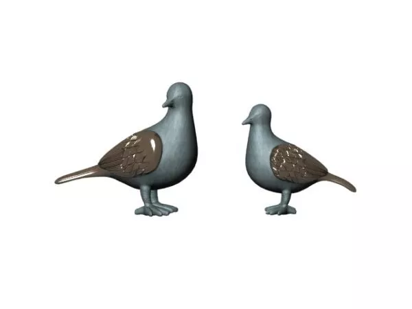 Pacific Seagull 3d model
