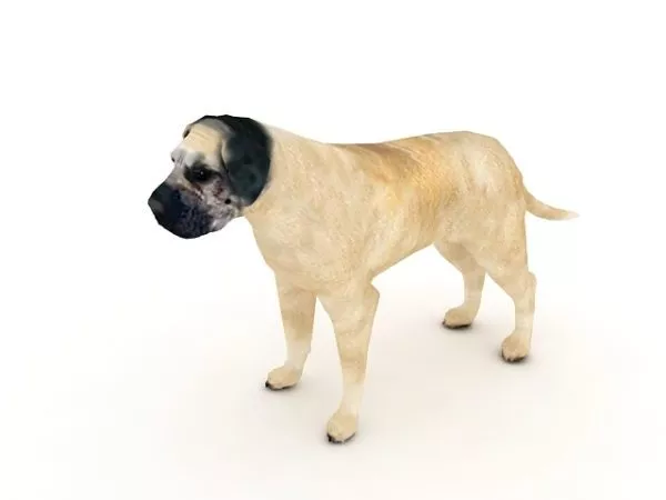Big Dog 3d model