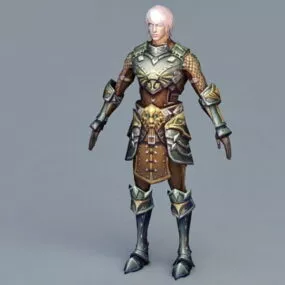 Medieval Kings Guard 3d model
