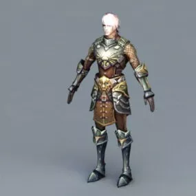 Medieval Knight Male 3d model