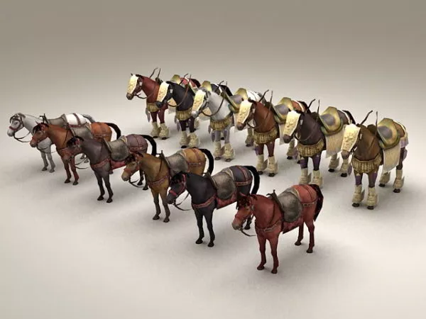 Horse Skeleton Bone 3d model