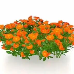 Mexican Sunflower Plants 3d model
