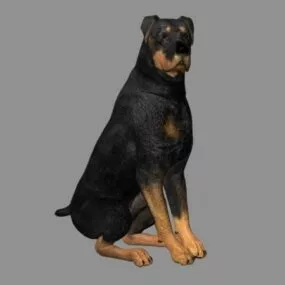Millennium Dog 3d model