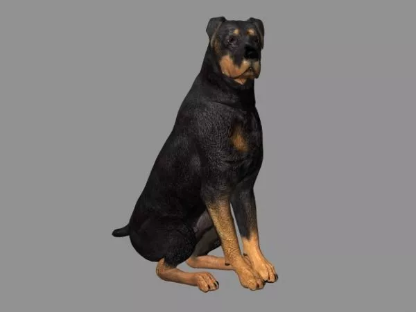 Millennium Dog 3d model Millennium Dog 3d model