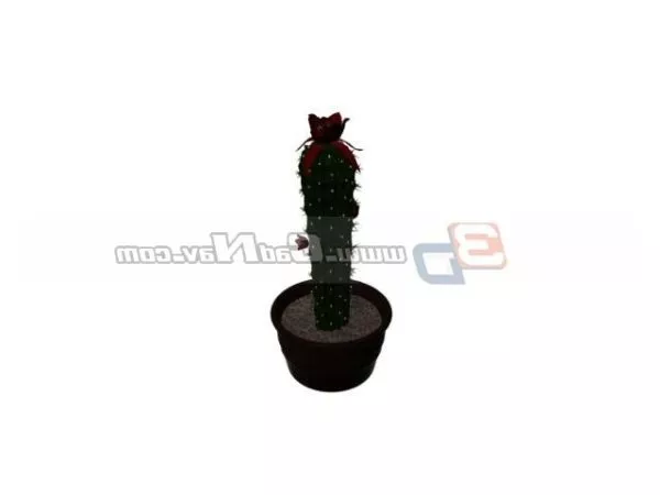Tree Mini Cactus 3d model Tree Mini Cactus 3d model