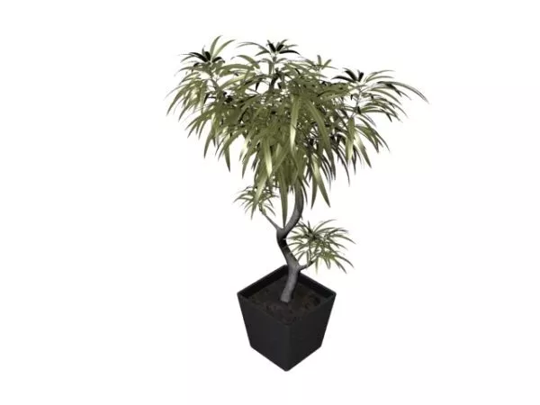 Miniascape Potted Tree 3d model Miniascape Potted Tree 3d model