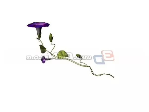 Morning Light In Forest 3d model