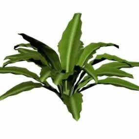 Moth Orchid 3d model