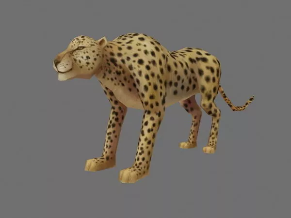 Snow Leopard V1 3d model
