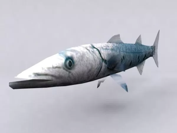 Animal Fish River Carp 3d model