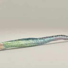 Muraenesox Fish 3d model