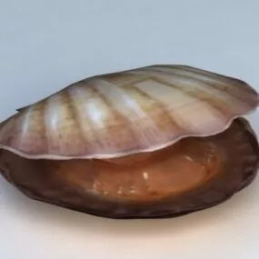 Mussel Shell 3d model