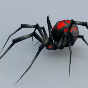 Night Black Widow Spider 3d model