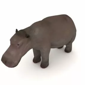 Nile Hippopotamus Animal 3d model