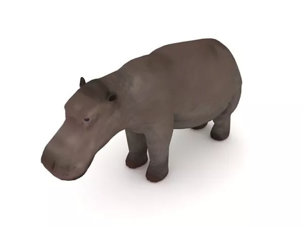 Nile Hippopotamus Animal 3d model Nile Hippopotamus Animal 3d model