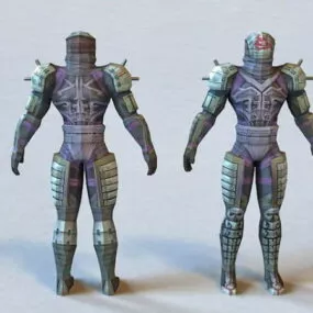 Ninja Warrior 3d model