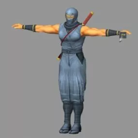 Character Ninja Girl Sword 3d model