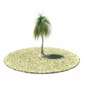 Nolina Recurvata Plant 3d model