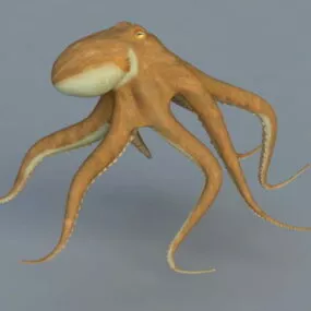 Orange Octopus Animal 3d model