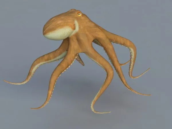 Ocean Octopus 3d model
