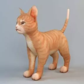 Orange Tabby Cat 3d model