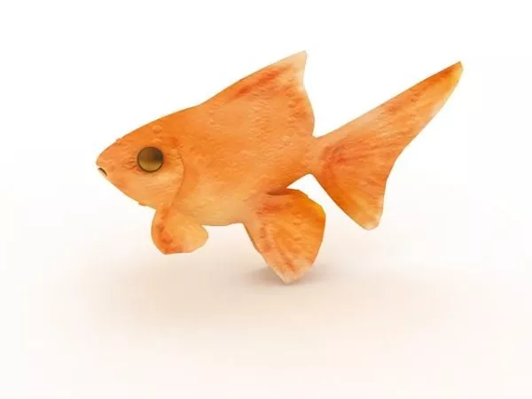 Amago Salmon River Fish 3d model