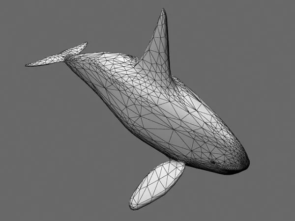 Big Whale Lowpoly 3d model