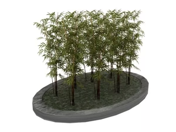 Ornamental Bamboo Plant In Parterre Bed 3d model Ornamental Bamboo Plant In Parterre Bed 3d model