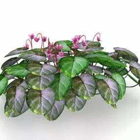 Ornamental Bushes With Flowers 3d model