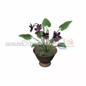 Ornamental Flower Bonsai Plant 3d model