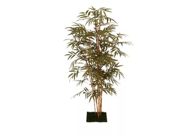 Low Poly Bamboo Plant 3d model