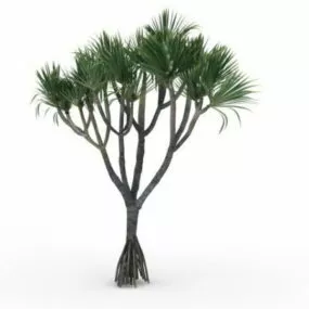 Ornamental Palm Tree 3d model