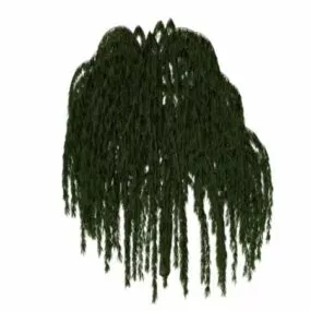 Ornamental Tree Peking Willow 3d model