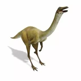 Ornithomimus Dinosaur Animal 3d model