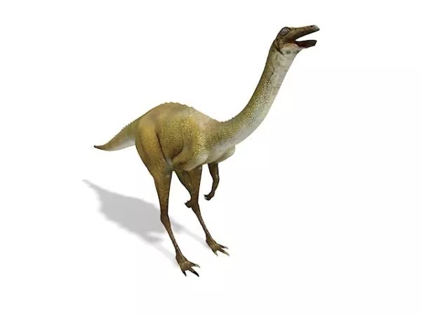 Ornithomimus Dinosaur Animal 3d model Ornithomimus Dinosaur Animal 3d model