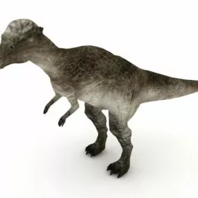 Pachycephalosaurus Dinosaur Animal 3d model