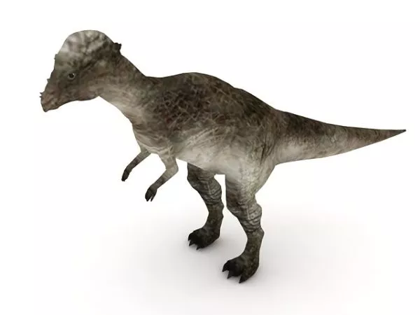 T Rex Dinosaur Animated 3d model