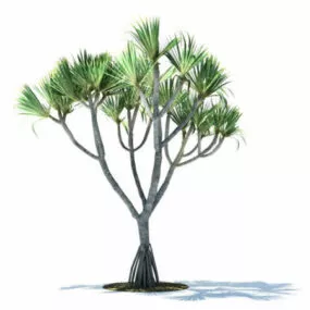 Pandanus Utilis 3d model