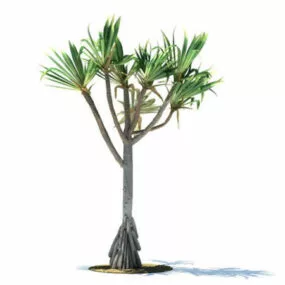 Pandanus Utilis Bory 3d model