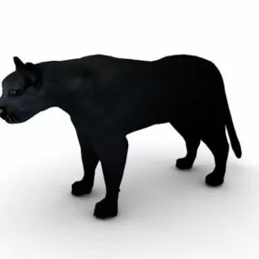 Panther Leopard Animal 3d model