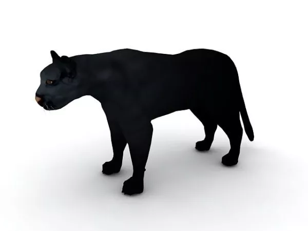 Panther Leopard Animal 3d model Panther Leopard Animal 3d model