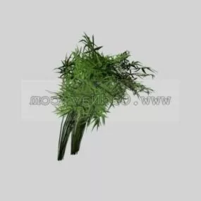 Papyrus Plant 3d model